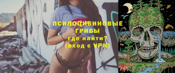 спиды Горнозаводск