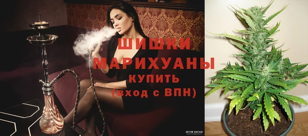 спиды Горнозаводск