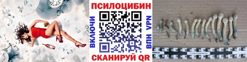 Псилоцибиновые грибы Magic Shrooms  Купить где  Красный Кут 