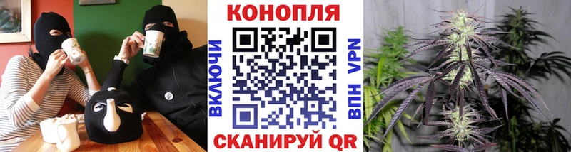 Конопля тримм  Купить закладки  Красный Кут 
